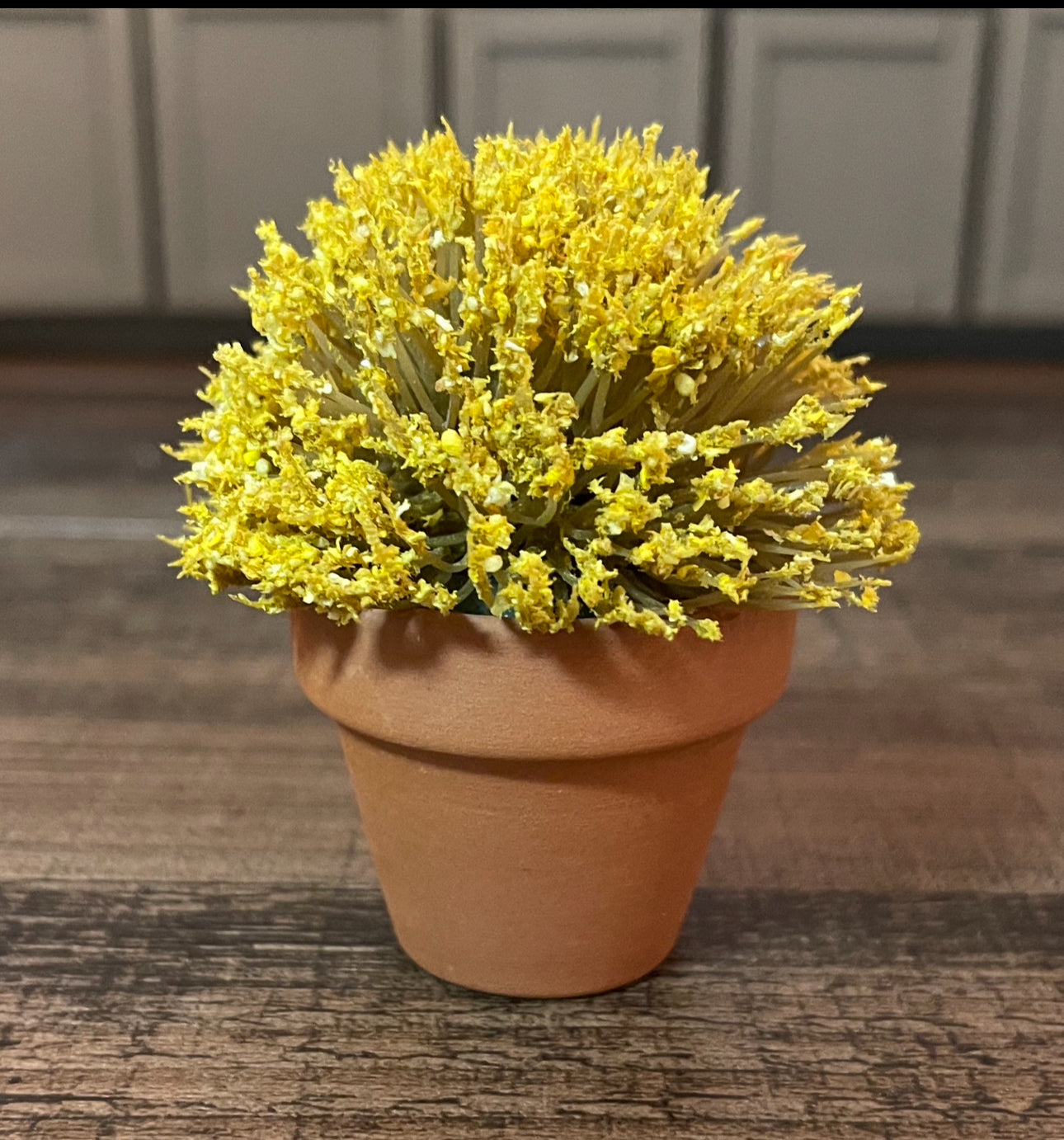 1:6 Scale Yellow Mum in Pot