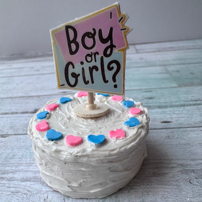 1/6 Scale Gender Reveal Cake Boy